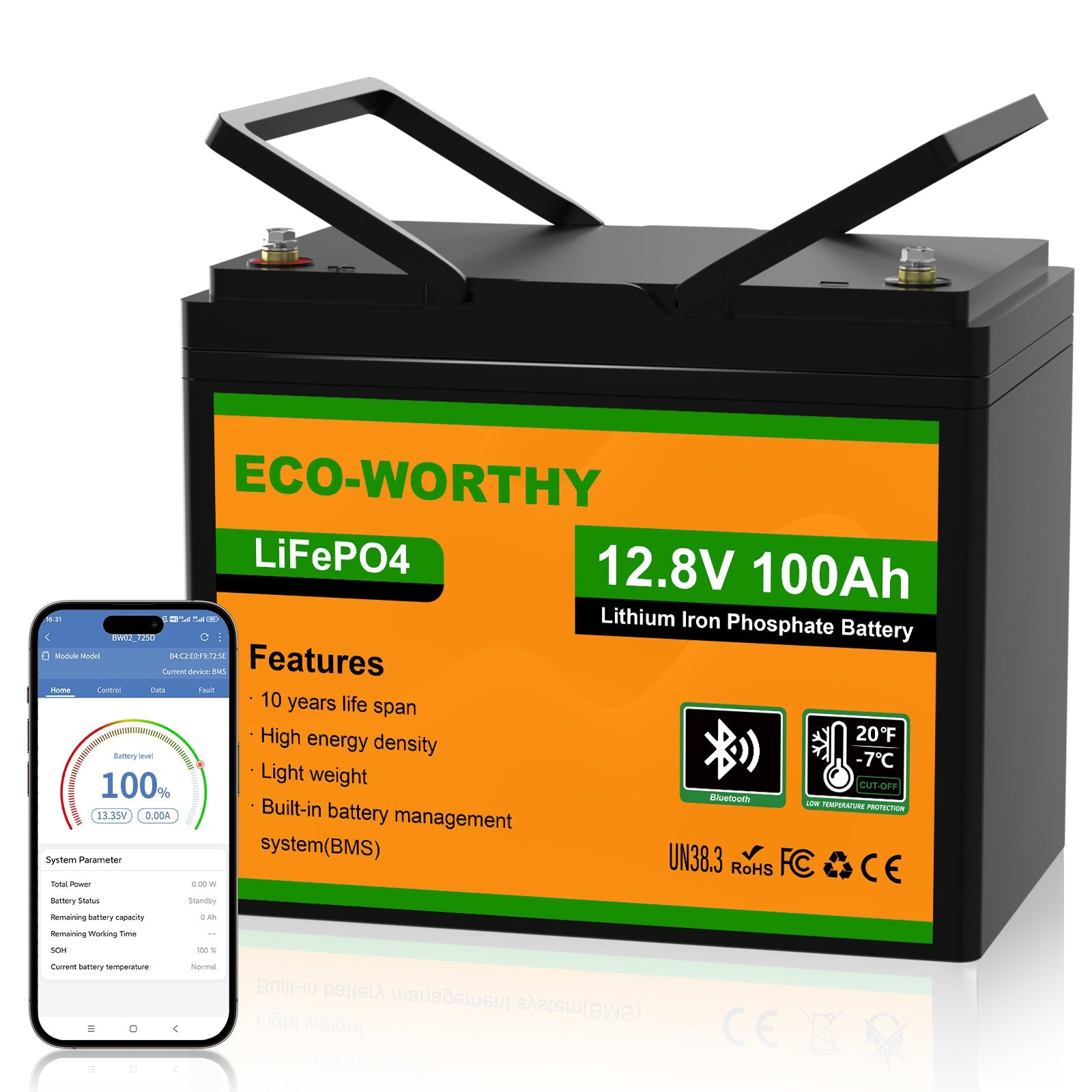 Upgraded LiFePO4 12V 100Ah Lithium Iron Phosphate Battery With Bluetooth,Low-temperature Protection,Dual Temperature Probes and Buzzer Fault Warning